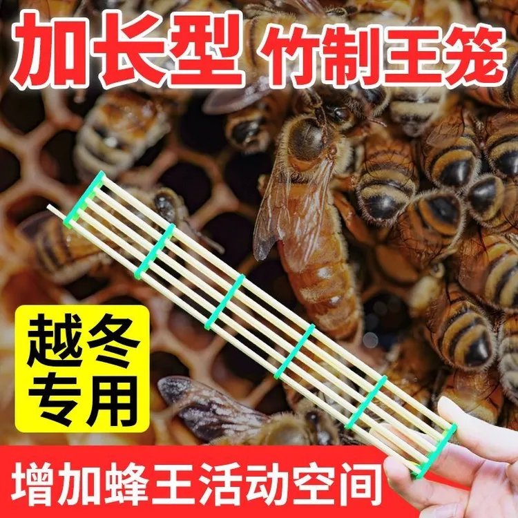 蜜蜂王笼竹制五节加长囚王笼蜂王产卵控制器中蜂意蜂越冬竹制王笼