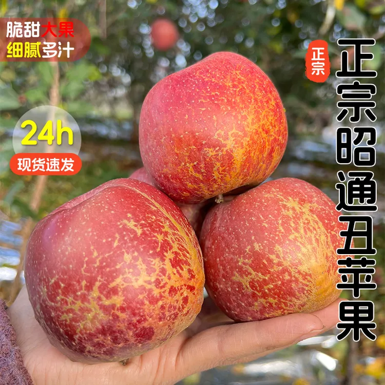 正宗云南昭通丑苹果高原农家种植新鲜水果脆甜多汁整箱包邮
