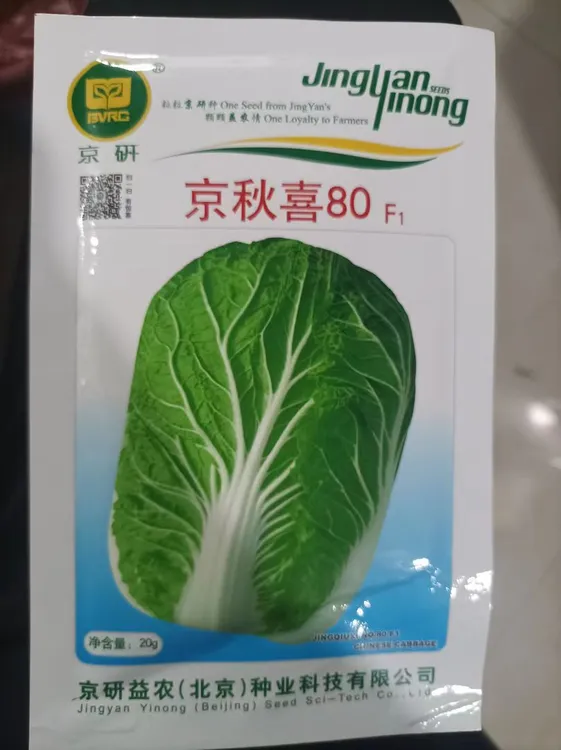 京秋喜80大白菜种子耐热耐湿高产春夏秋四季基地专用蔬菜种籽阳台