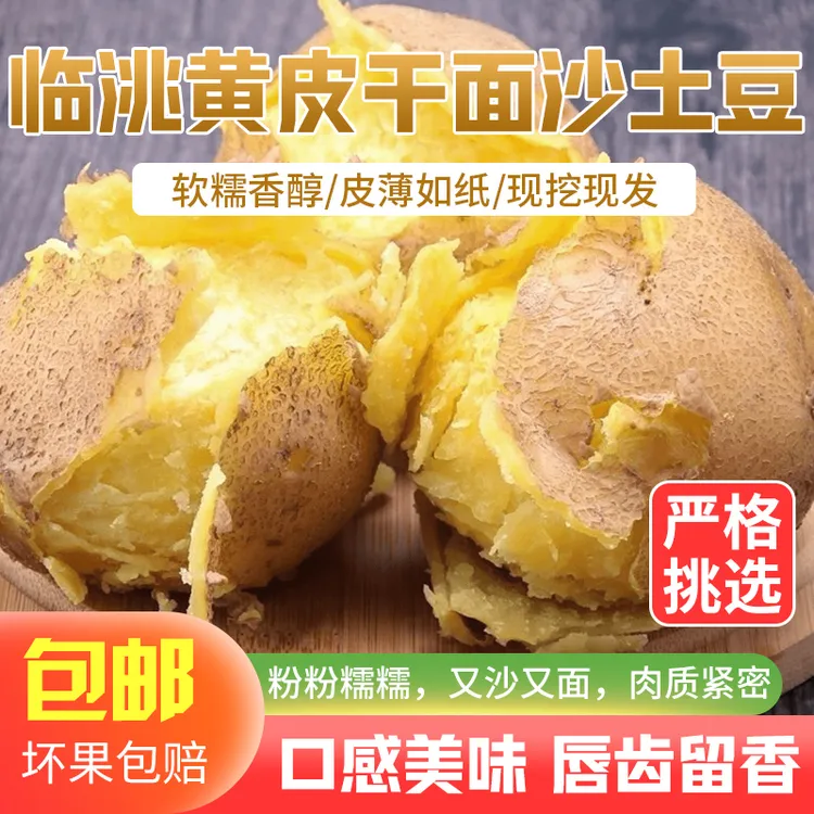 甘肃定西临洮细腻种植沙土豆新鲜农家黄皮马铃薯美味甘肃沙面土豆