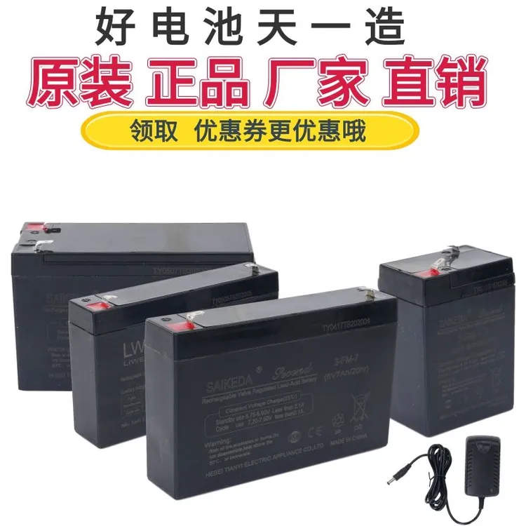 赛科达儿童电动汽车摩托童车蓄电池电瓶6V4A4.5AH7ah 6V12V充电器