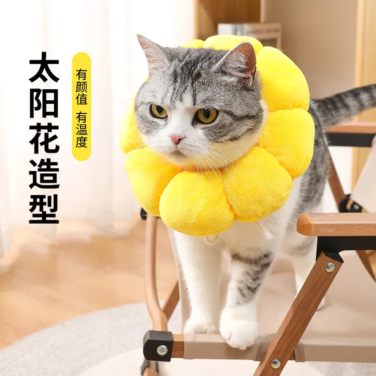 太阳花清爽透气伊丽莎白圈宠物项圈猫咪白项圈狗项圈绝育防舔头套