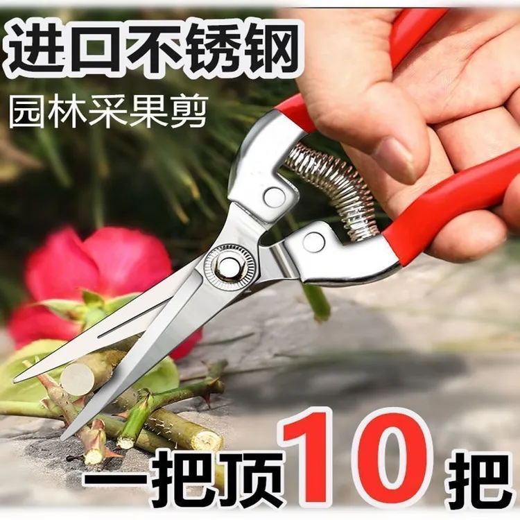 不锈钢摘果剪园艺剪刀修枝剪葡萄剪火龙果采摘剪花椒剪果园采摘剪