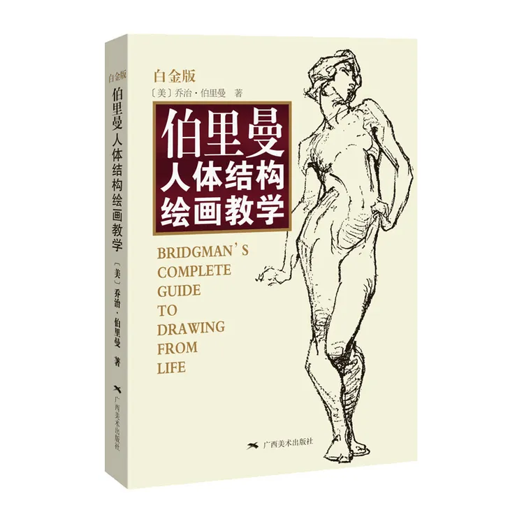 广西美术出版社伯里曼人体结构绘画教学白金版 入门基础