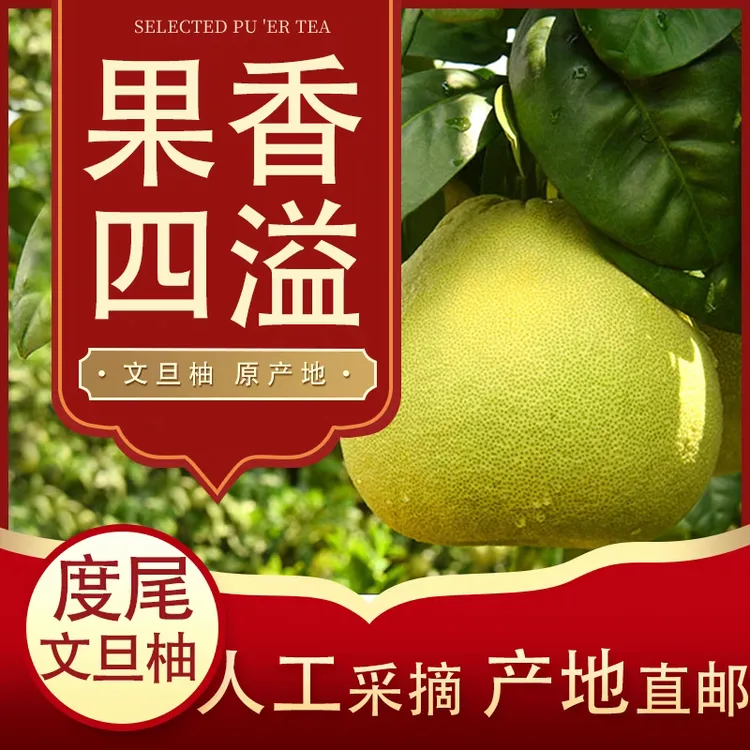 正宗福建度尾文旦柚当季新鲜现摘红心柚子老树大果孕妇时令水果