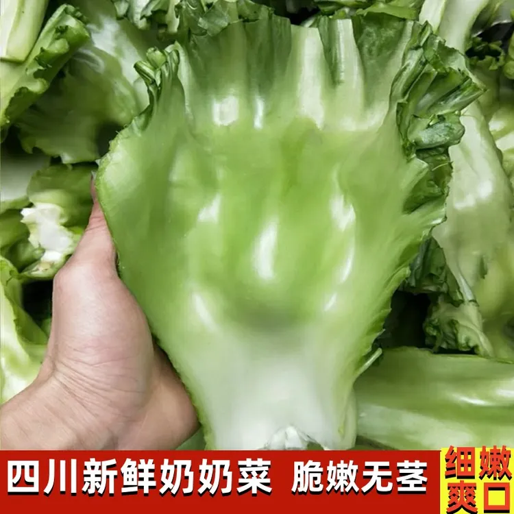 四川包包泡青菜新鲜奶奶菜青菜块泡菜原料芥菜梗酸菜原料2/4/6斤