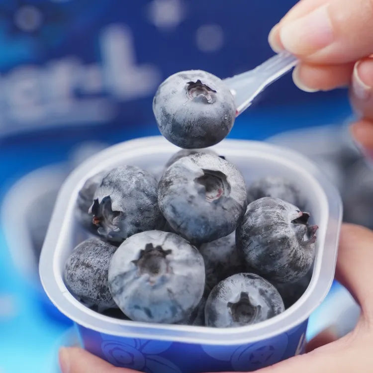 当季限定 秘鲁进口宝宝杯Blueberry   18-20mm➕花香浓郁‹顺丰包邮