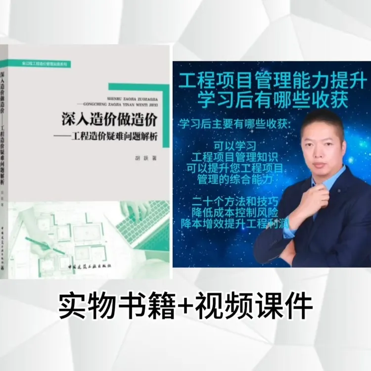 深入造价做造价工程造价疑难问题解析书籍专业书籍