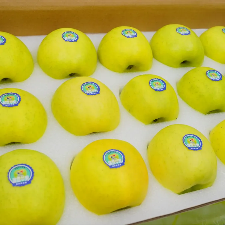 陕西正宗瑞雪15-20枚礼盒装脆爽苹果酸甜当季新鲜水果包邮皮薄