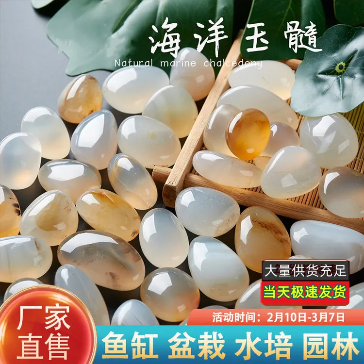海洋玉髓原石曼扎雨花石鹅卵石花盆水培水仙子鱼缸装饰花瓶小石头