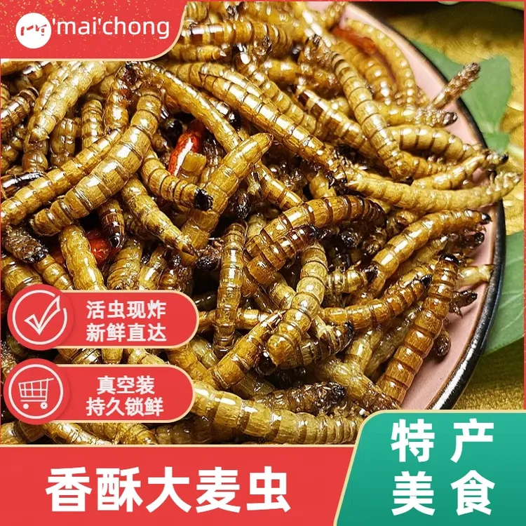 香酥即食大麦虫油炸昆虫小零食炸虫子下酒美食丰富蛋白虫现做现发