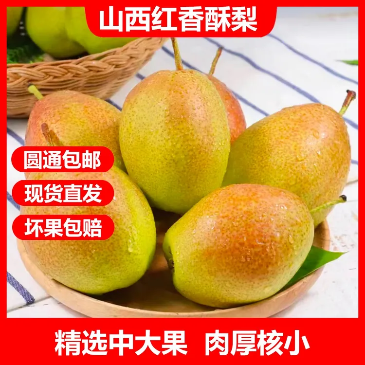 山西红香酥梨4.5斤脆甜多汁水新鲜甜成熟香甜爽口美味细腻鸭梨子