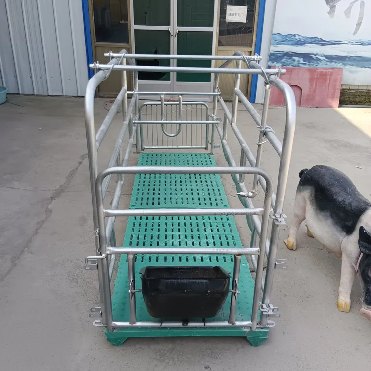 母猪落地产床（加铺两块漏粪板）