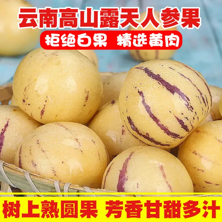 云南人参果新圆果鲜人参果树上熟果黄果新鲜当季人参果黄心3-5斤