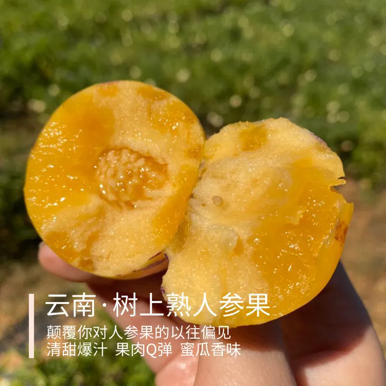 真·树上黄人参果 云南 树上自然熟 清甜多汁 带哈密瓜香味 3斤装