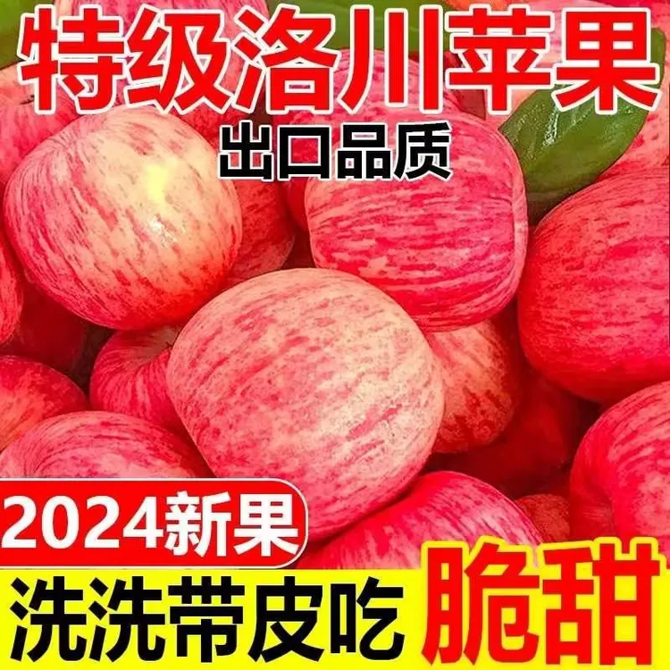2024年新陕西洛川脆甜多汁爽口红富士苹果【买五斤送五斤净重十斤】