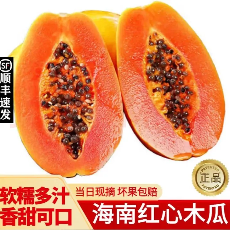 【顺丰包邮】海南红心牛奶木瓜树上熟新鲜水果5斤8斤装单果500g起