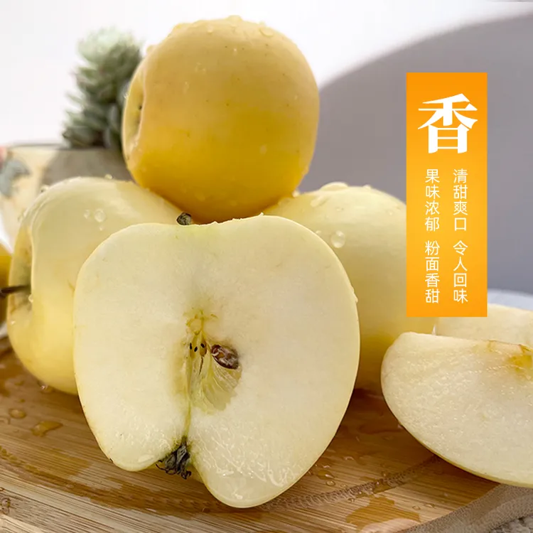 黄元帅苹果新鲜水果粉面软糯香甜应季老人婴儿辅食刮泥黄金帅苹果