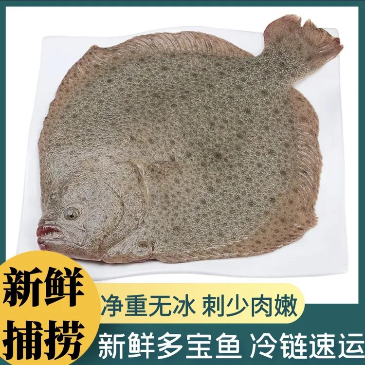 【大号多宝鱼】新鲜海捕多宝鱼【拍6条送2条】到手8条顺丰京东包邮商品图