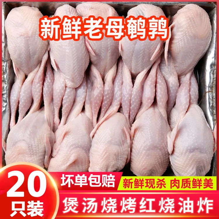 连云港鹌鹑肉新鲜冷冻非鸽子肉生骨肉烧烤鹌鹑生鲜鹌鹑鸟批发20只