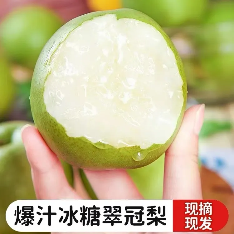 砀山正宗翠冠梨 蜜梨 脆甜多汁爆汁 皇冠梨 坏果包赔