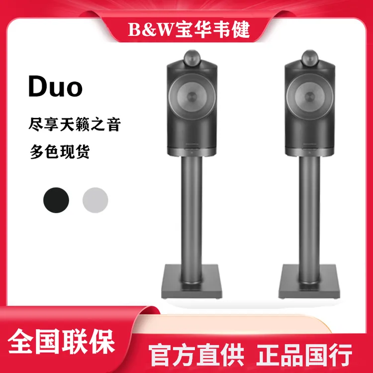 B&W宝华韦健（B&W）Formation Duo无线蓝牙书架有源音箱HiFi音箱