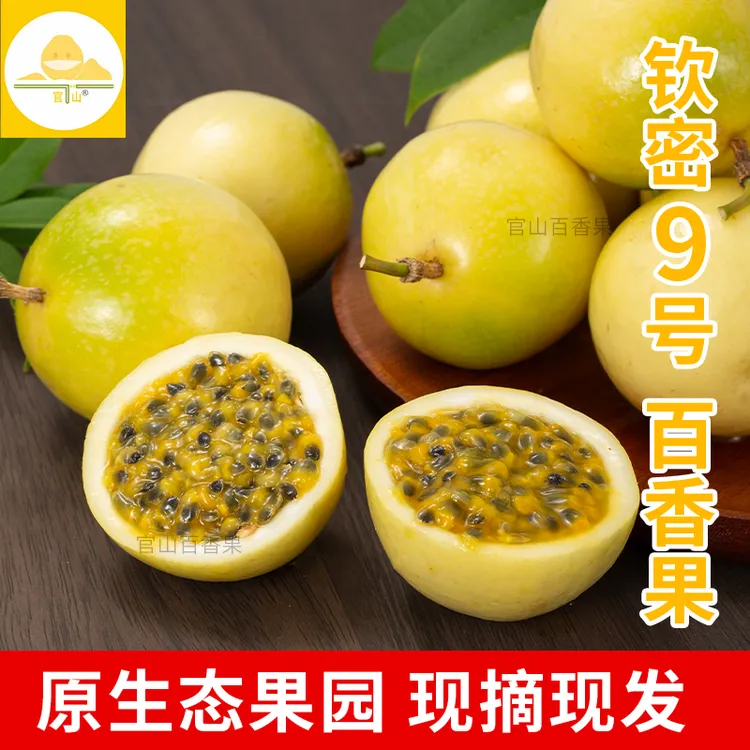 阳春永宁官山钦密9号黄金百香果