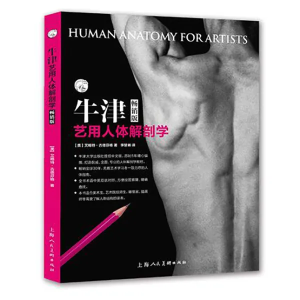 牛津艺用人体解剖学 西方经典美术技法译丛专有名词中英文对照