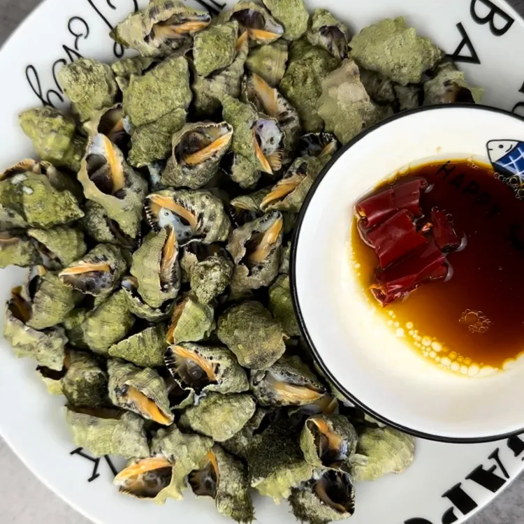 天然海螺苦螺 小辣螺2-3斤尝鲜装（90-100粒一斤）鲜活发货