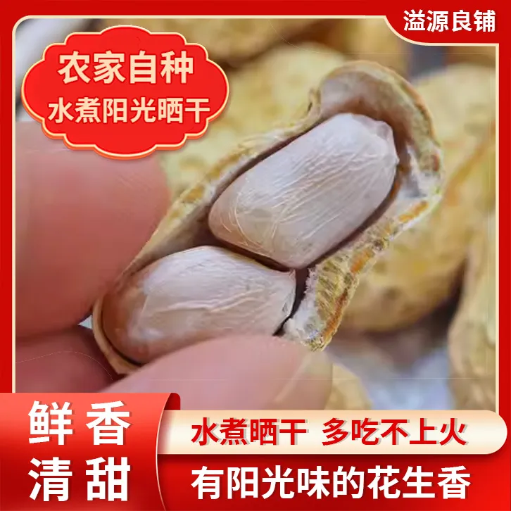 溢泓源新果客家特产水煮咸干花生软口鲜甜晒至八九成干度营养美味