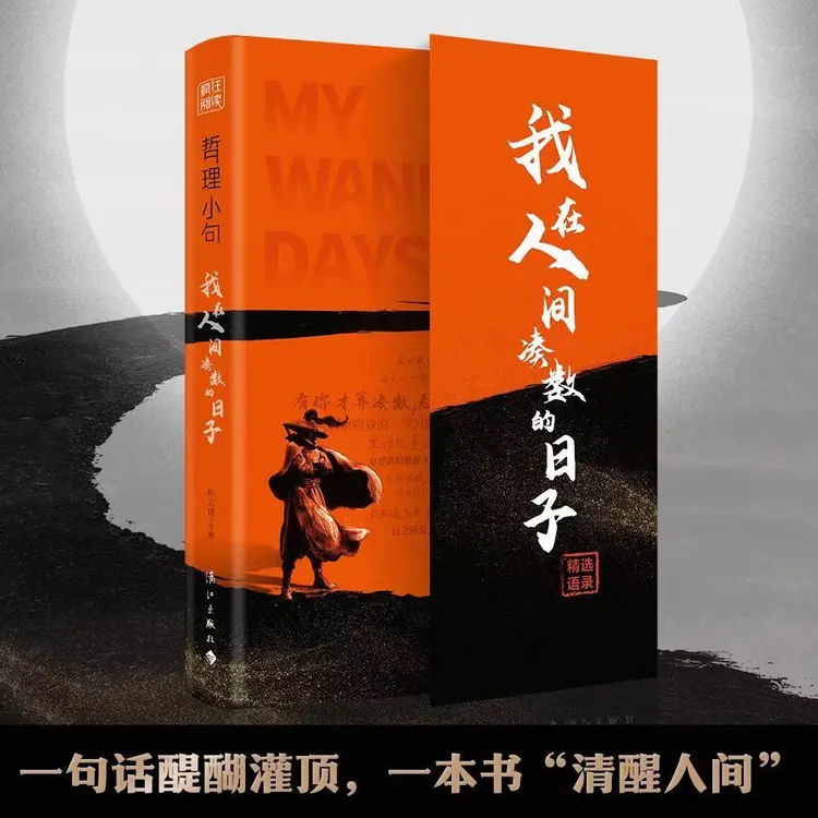 新书现货 哲理小句 我在人生间凑数的日子/一句顶一万句/句子迷