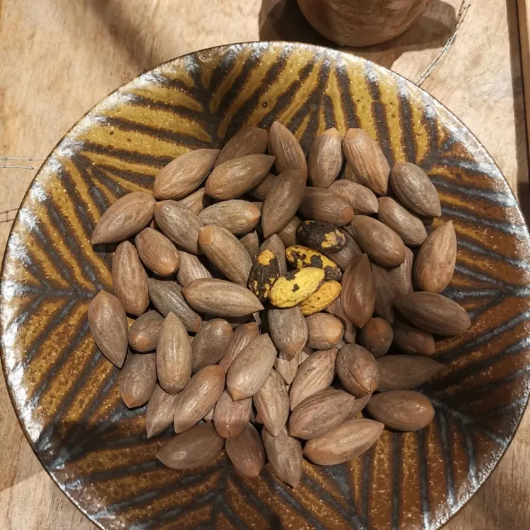 香榧带壳四罐组合装
