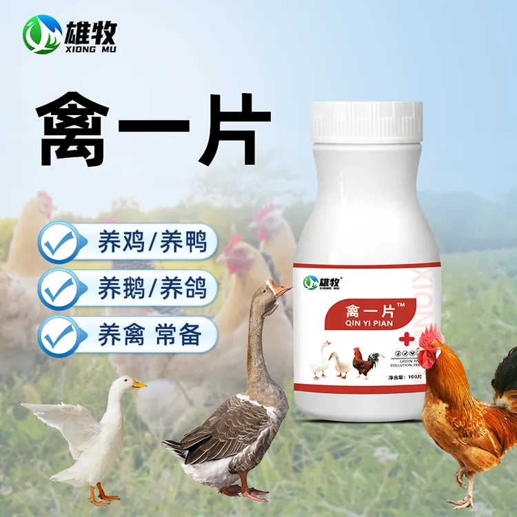 【雄牧】禽一片鸡鸭鹅禽类养殖通用添加剂家禽常备厂家直销100片装