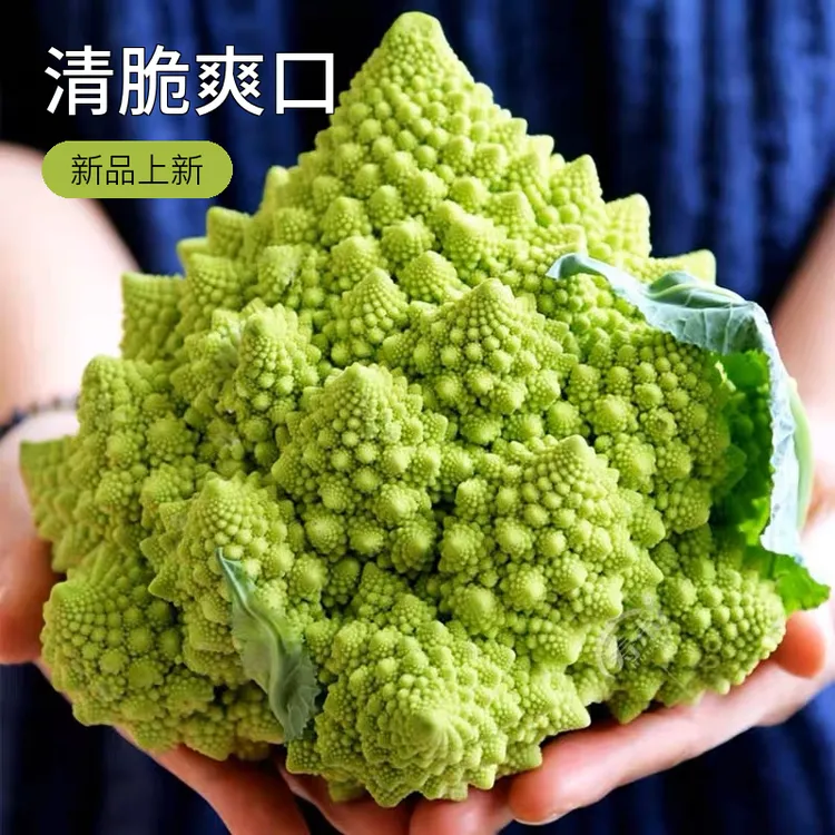 花菜新鲜宝塔菜1-4斤西兰花罗马花椰菜西餐厅食材宝塔花椰菜蔬菜