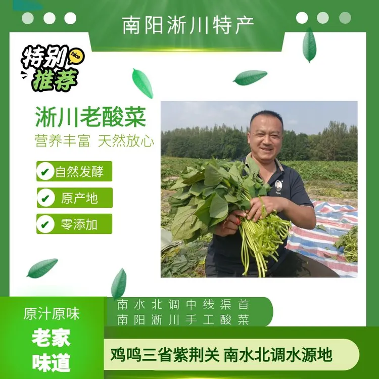 红薯杆酸菜400克一袋赠毛剌菜品尝切碎