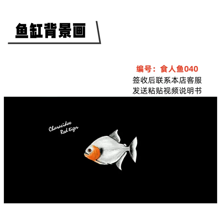 鱼缸背景纸哪吒悟空食人鱼造景立体高清水族装饰防水壁纸正胶粘贴