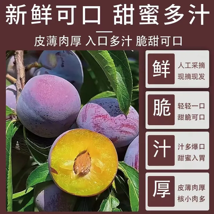 【正宗脱骨李】四川高原脱骨李脆红李脆红李新鲜水果脆甜现摘3-5斤