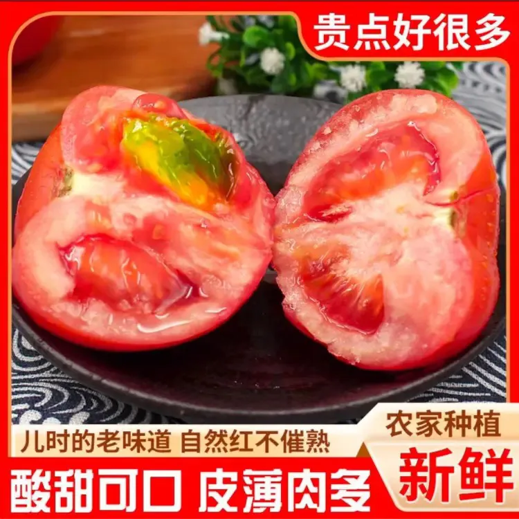 西红柿正宗贵州普罗旺斯番茄生吃水果蔬菜新鲜沙瓤红柿子自然成熟