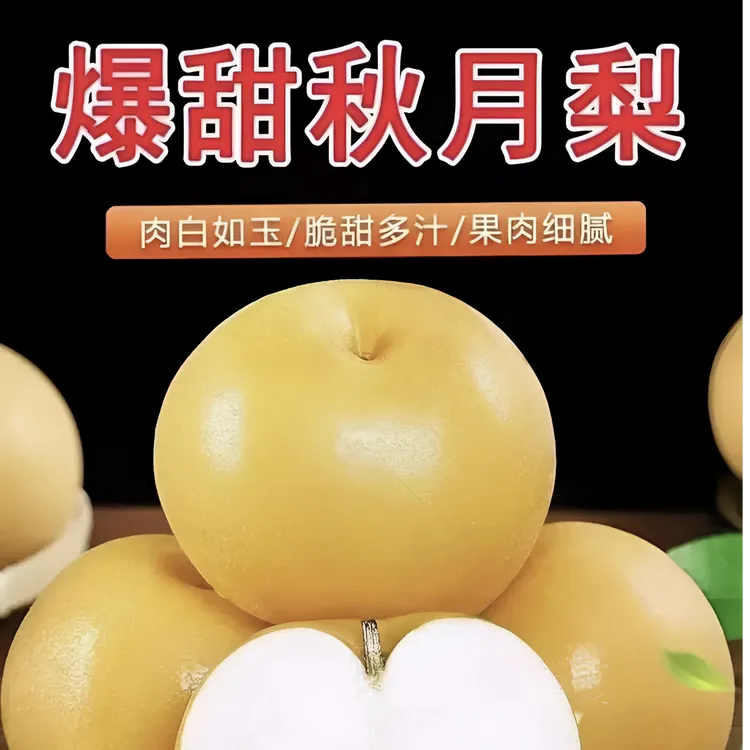 正宗秋月梨皮薄肉多汁水足新鲜采摘现摘现发果肉细腻