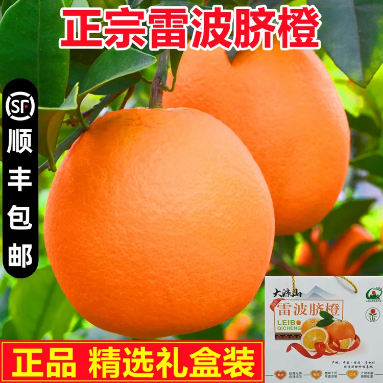 正品四川大凉山雷波脐橙当季新鲜现摘纽荷尔橙子整箱包邮果农直发