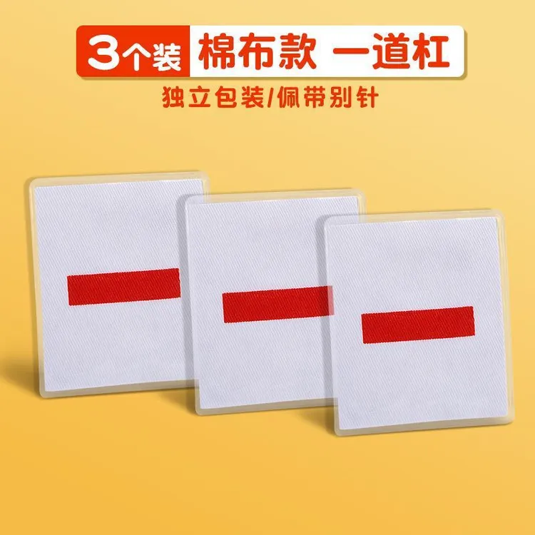 少先队员队长大队长小队长中队长委员统一标准小学生一二三道杠
