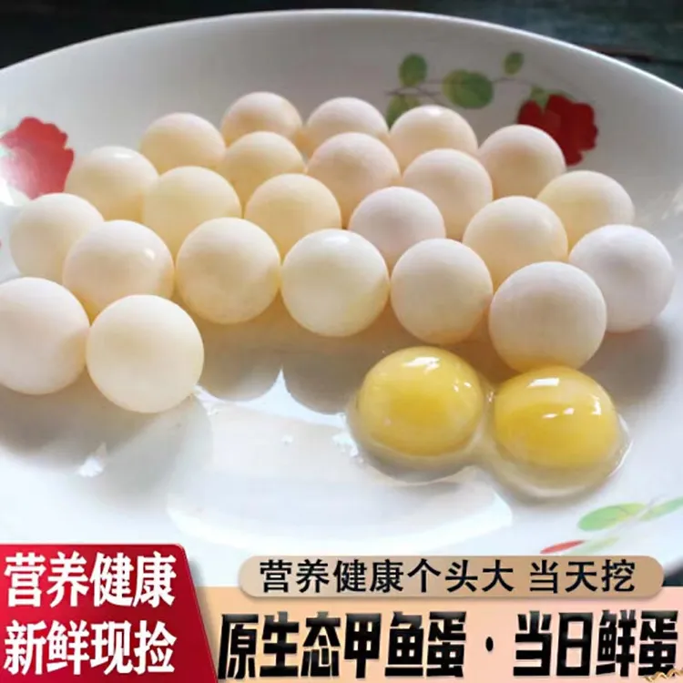 【皮厨大叔】生态外塘头窝甲鱼蛋鳖蛋宝宝辅食100送20枚送卤料+食谱