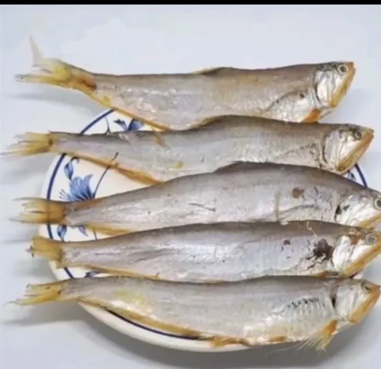 渤海湾咸马口鱼油扣鱼毛扣鱼5斤