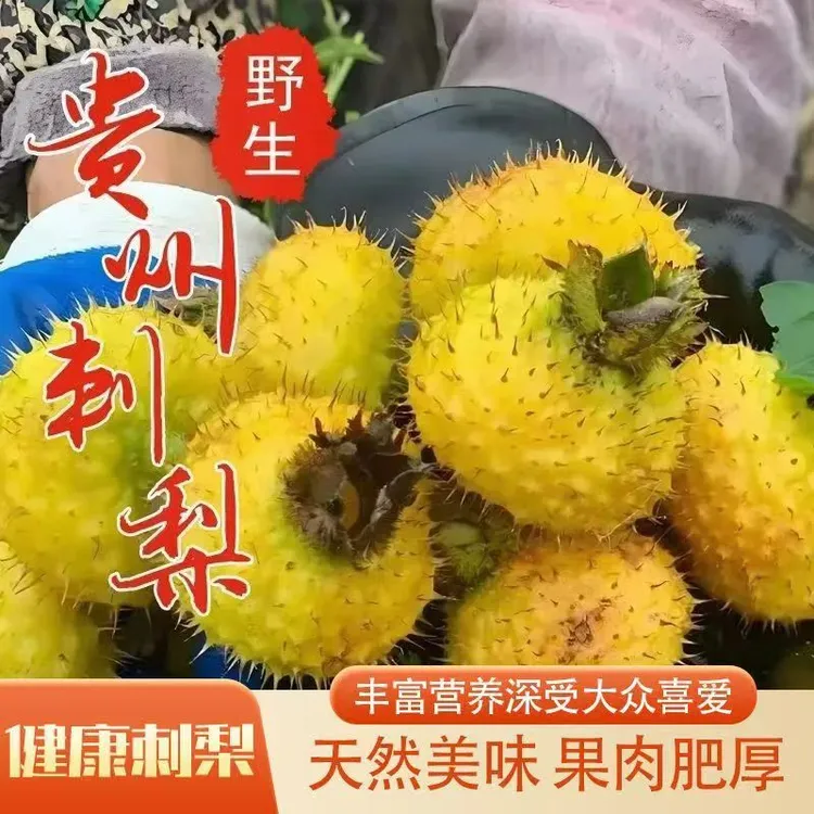 贵州野生刺梨现摘现发新鲜刺梨果天然维c泡酒榨汁泡水三斤包邮
