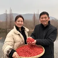 宁夏中宁无熏染头茬枸杞