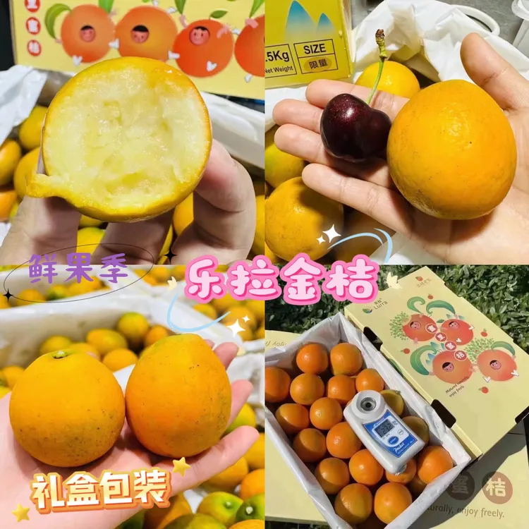 现货乐拉脆蜜金桔蜜里蜜桔3斤礼盒装3A-6A大果金桔发顺丰