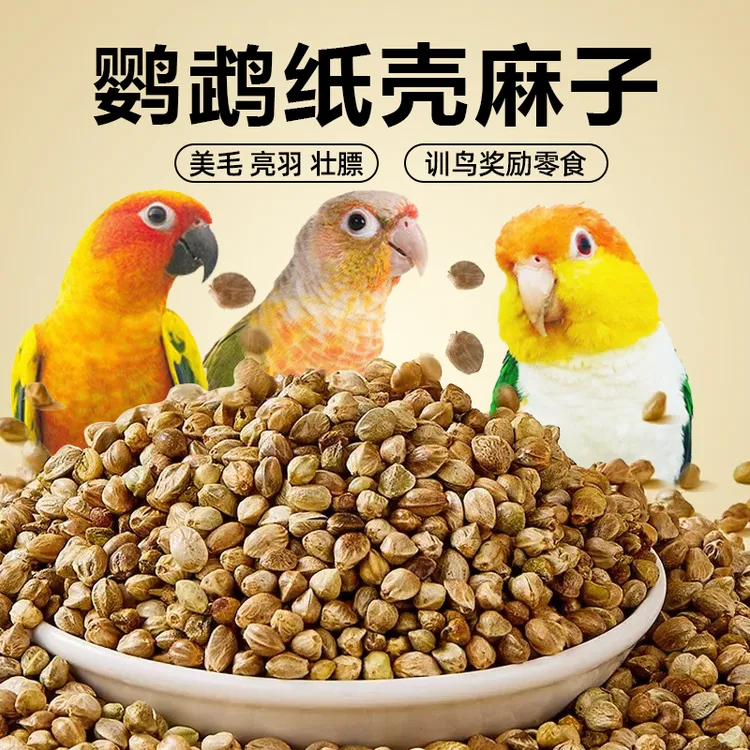 纸壳麻子鹦鹉奖励零食鸟粮增肥玄凤牡丹小太阳和尚新鲜干净大颗