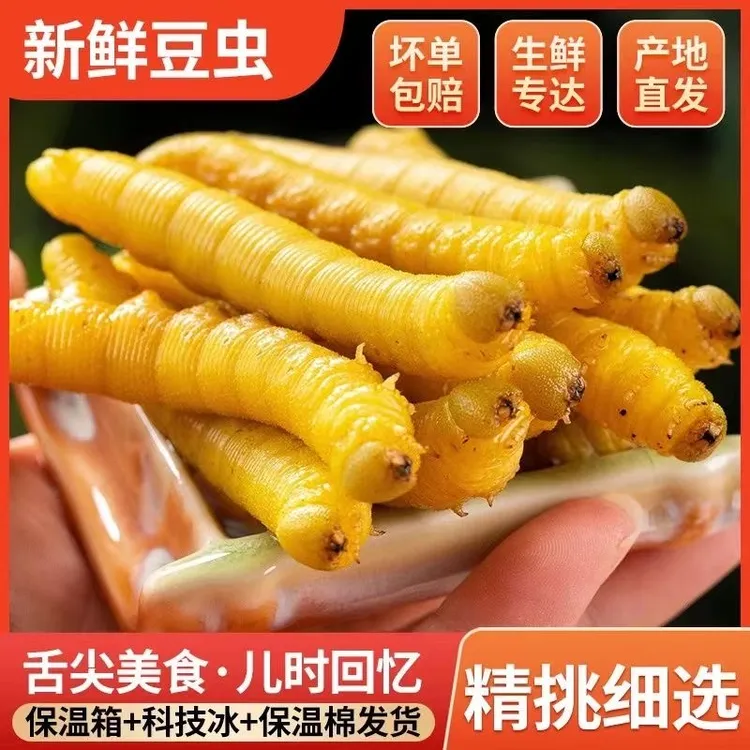 山东特产新鲜豆虫 野生食用豆虫豆丹 冷冻发货油炸烧烤食材