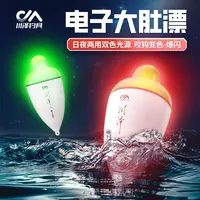 川泽电子大肚漂海杆远投鱼漂海钓抛竿阿波浮漂鲢鳙夜光漂日夜两用