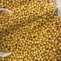 农家自种  去皮新豌豆  